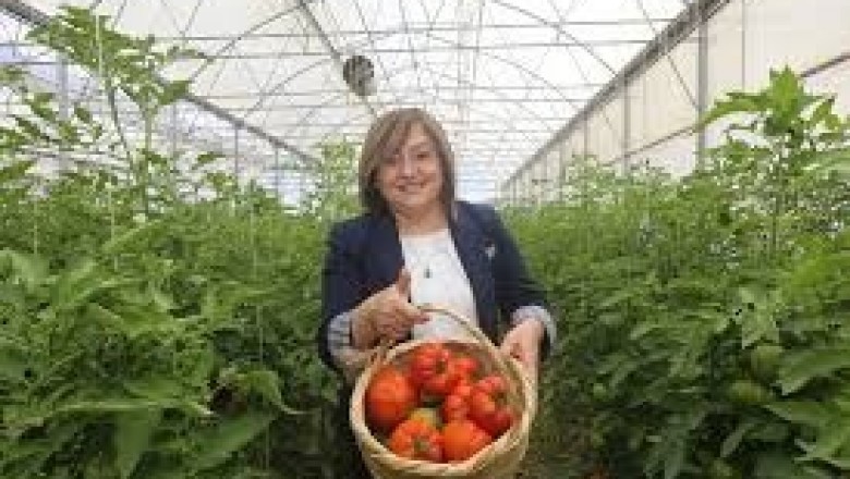 Gaziantep'te Akıllı Tarım Sokağı Kuruldu : T&uuml;rkiye'de  Bir İlk