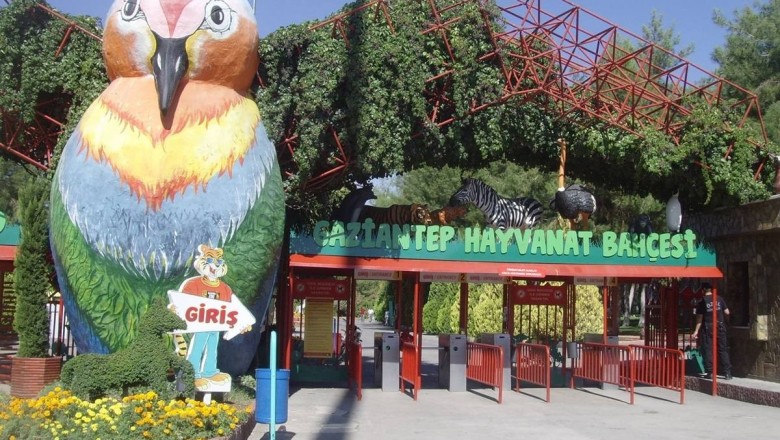 &ldquo;Gaziantep Hayvanat Bah&ccedil;esi: Doğanın Kalbinde Unutulmaz Bir Yolculuk&rdquo;