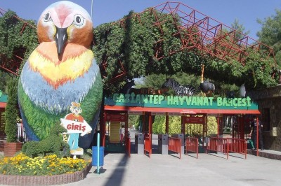 “Gaziantep Hayvanat Bahçesi: Doğanın Kalbinde Unutulmaz Bir Yolculuk”